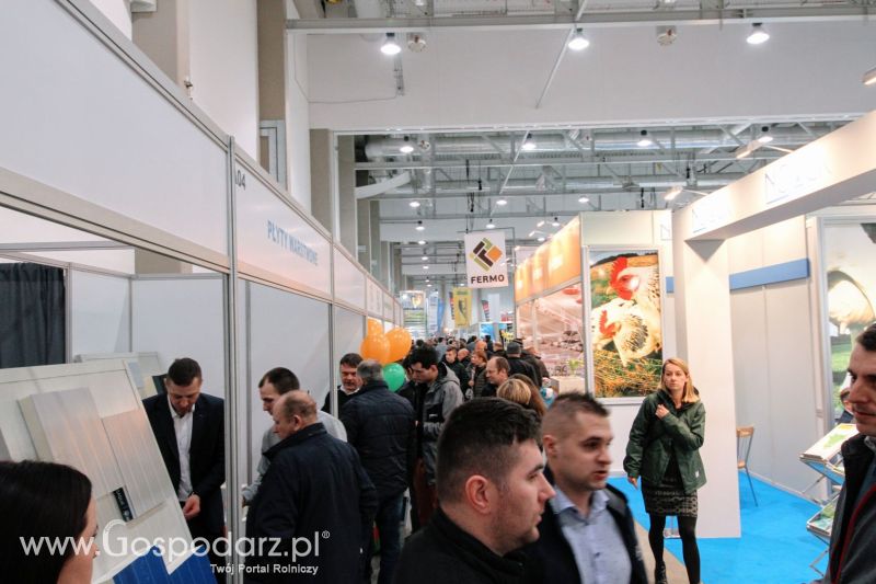 Ferma 2019 dzień 2