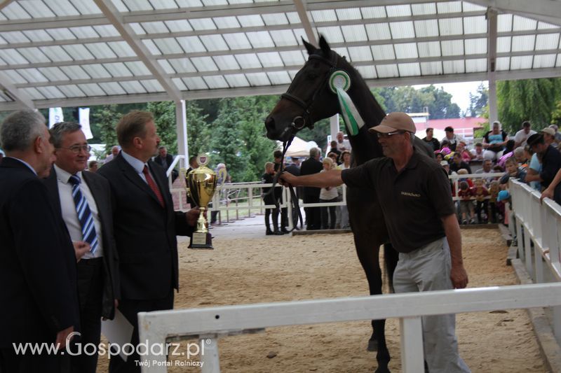 Czempioni XVII Regionalnej Wystawy Zwierząt Hodowlanych Sielinko 2011