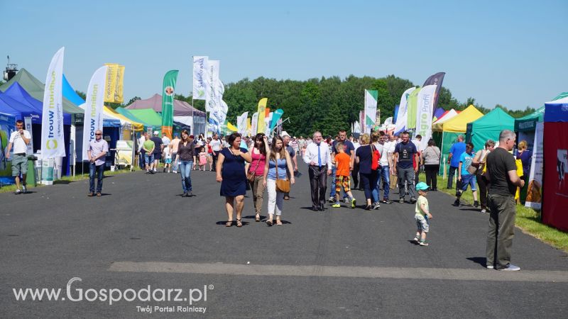 ZIELONE AGRO SHOW 2017 w Ułężu (niedziela, 28 maja)