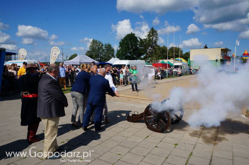 Święto Kurczaka w Sokółce