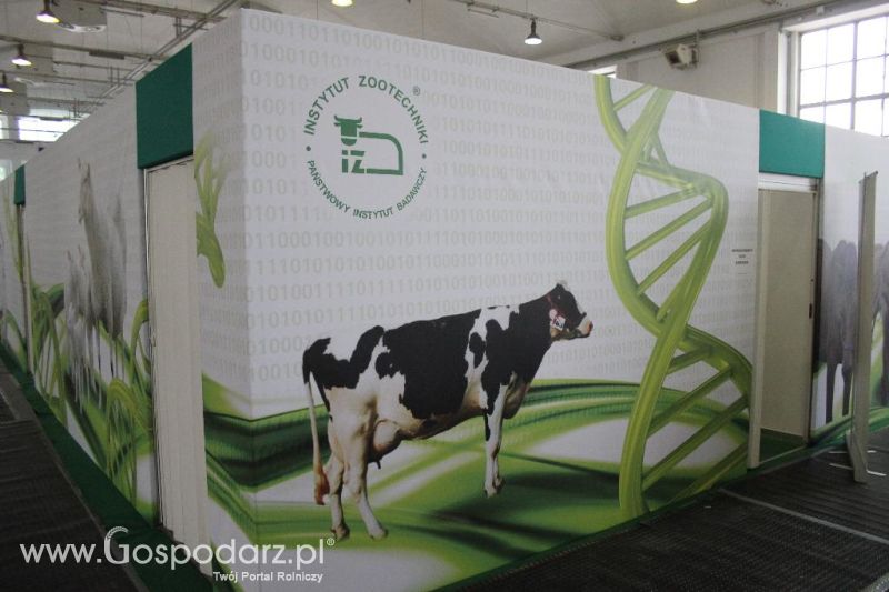 XXVI Krajowa Wystawa Zwierząt Hodowlanych - piątek