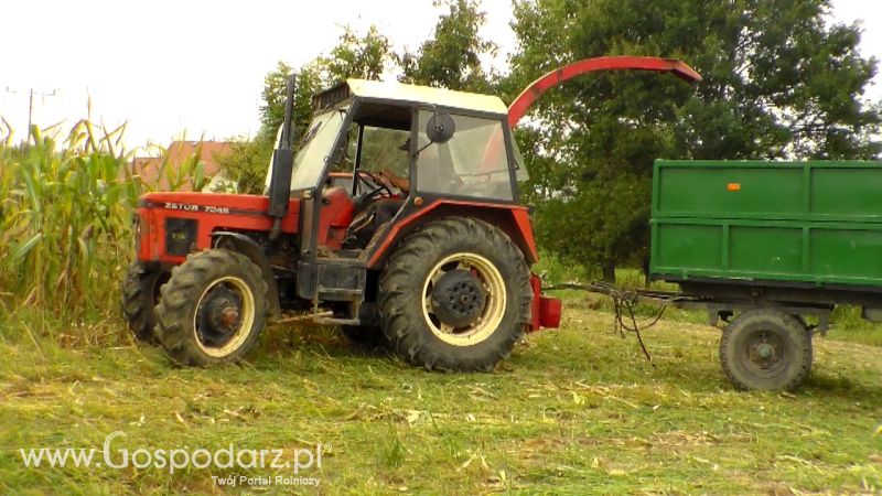 Kiszonka 2013