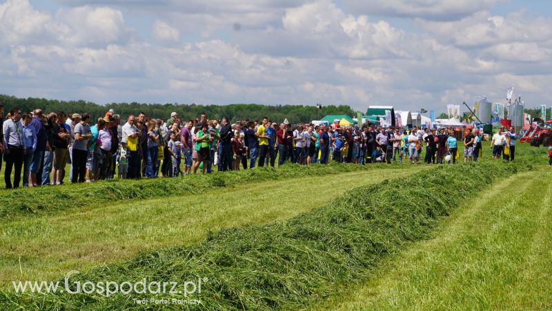 ZIELONE AGRO SHOW 2017 w Ułężu
