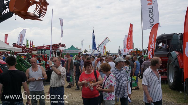 OPOLAGRA 2015 w Kamieniu Śląskim