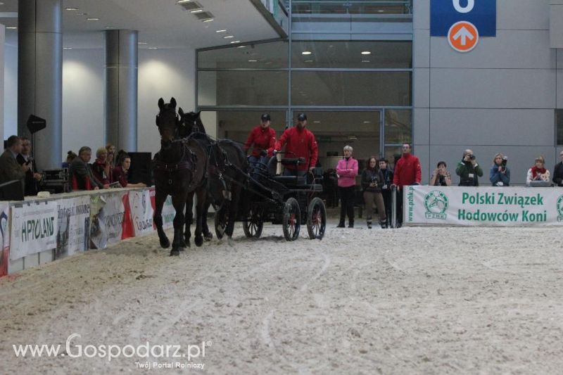 CAVALIADA 2013 w Poznaniu