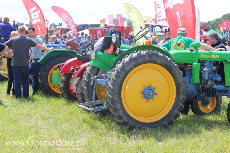 AGRO-TECH Minikowo 2017 (niedziela)