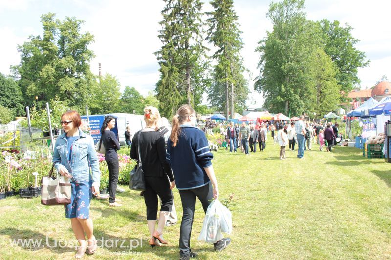 XX Targi Rolnicze Lubniewice 
