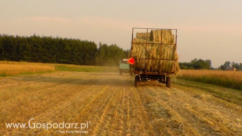 Zbiór Słomy 2013