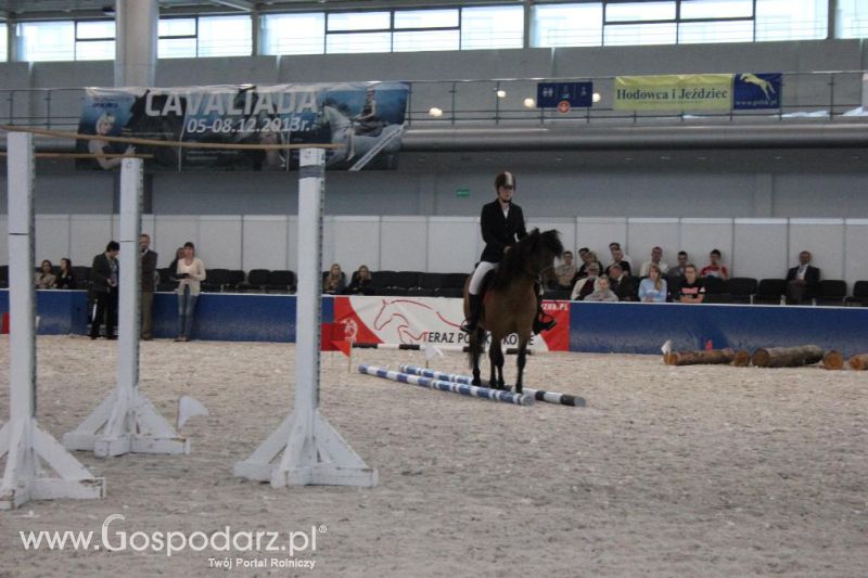 XXVI Krajowa Wystawa Zwierząt Hodowlanych - piątek