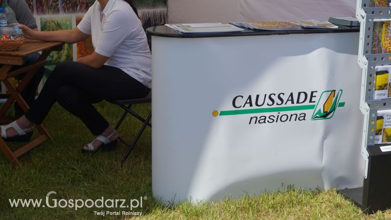 Caussade Nasiona Polska na ZIELONE AGRO SHOW w Ułężu 2017