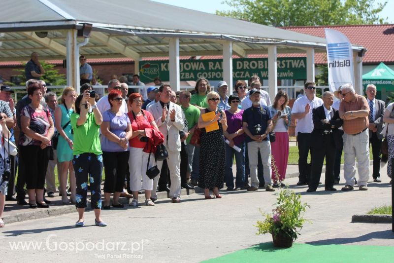 Zielone AGRO SHOW – POLSKIE ZBOŻA 2014 w Sielinku - sobota