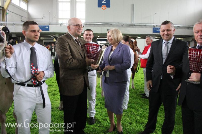 XXVI Krajowa Wystawa Zwierząt Hodowlanych - sobota i niedziela
