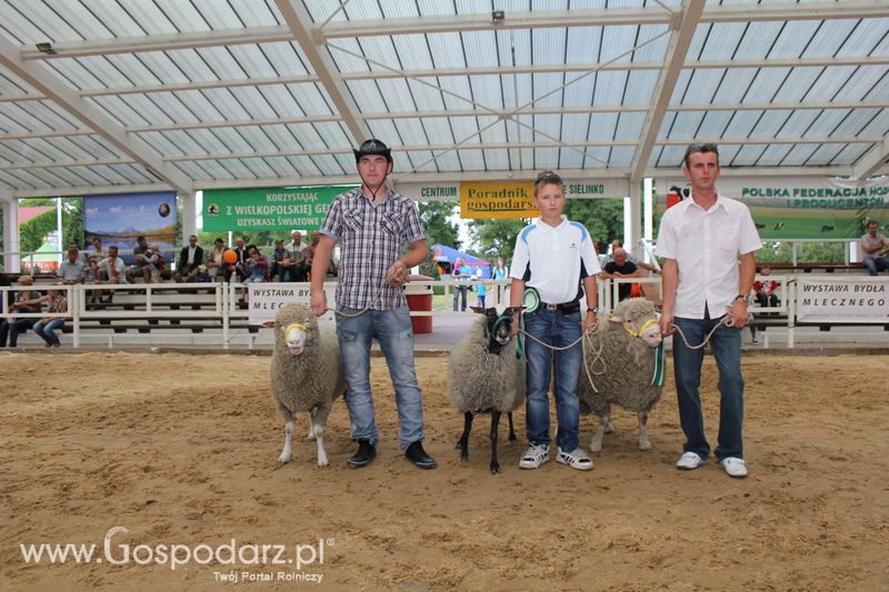 Czempioni XVII Regionalnej Wystawy Zwierząt Hodowlanych Sielinko 2011