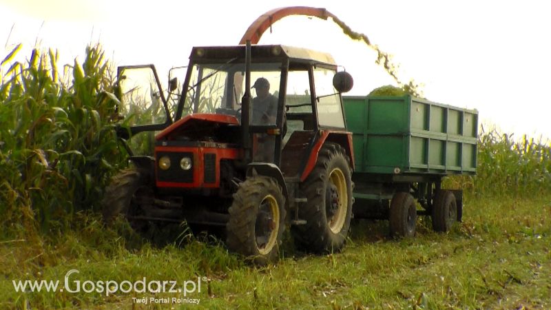 Kiszonka 2013