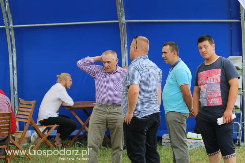 Skavska Hale na Regionalnej Wystawie Zwierząt Hodowlanych i Dni z Doradztwem w Szepietowie 2017