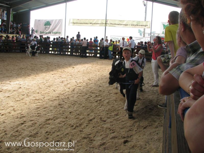 Młody Hodowca - Szepietowo 2012 XIX Regionalna Wystawa Zwierząt Hodowlanych