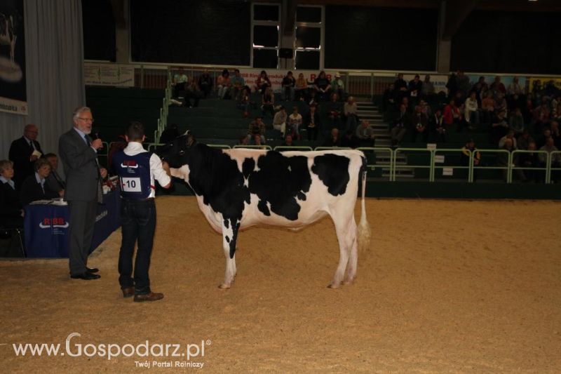 Wystawa  Blickpunkt Rind 2013 w miejscowości Paaren/Glien (Niemcy)
