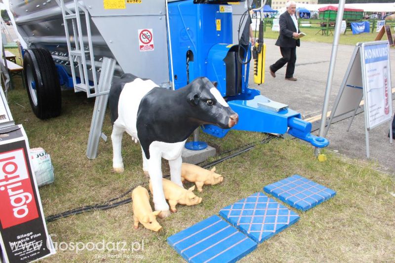 Blattin na Opolagrze 2013