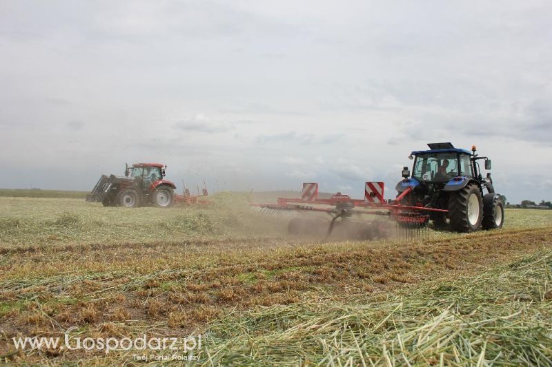 Pokazy polowe Romanów k/Krotoszyna