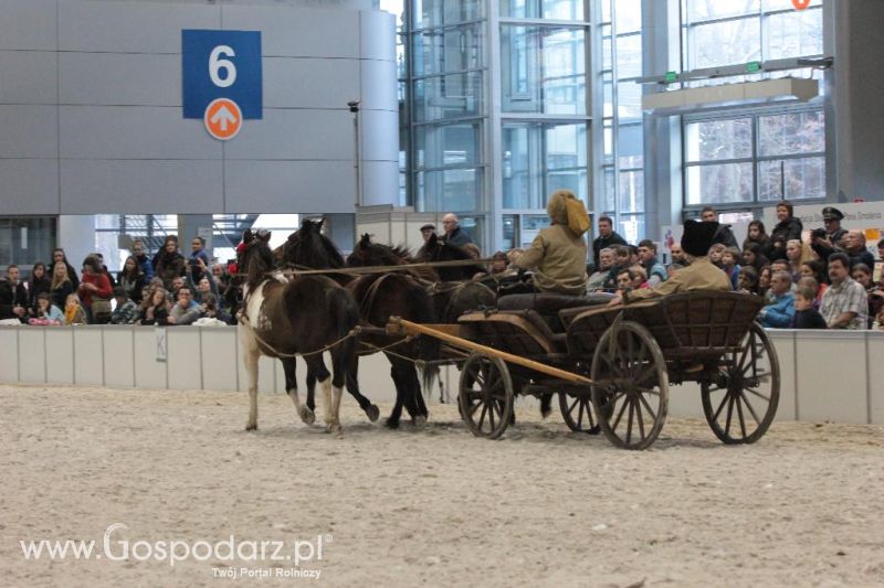 CAVALIADA 2013 w Poznaniu