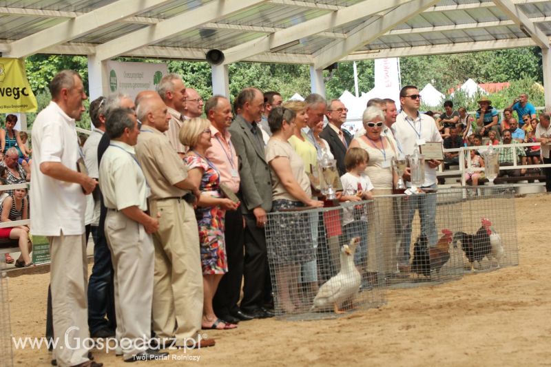 Zielone AGRO SHOW – POLSKIE ZBOŻA 2014 w Sielinku - niedziela