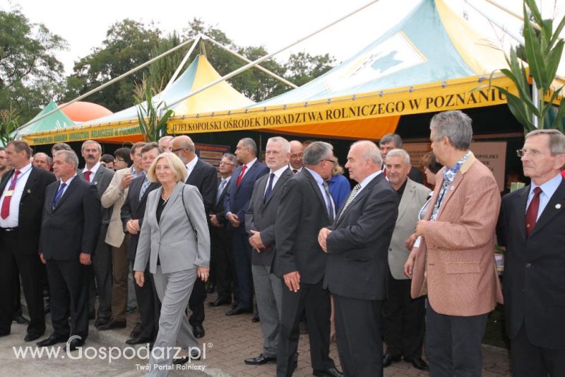 I Krajowa Wystawa Bydła Mięsnego w Sielinku - sobota