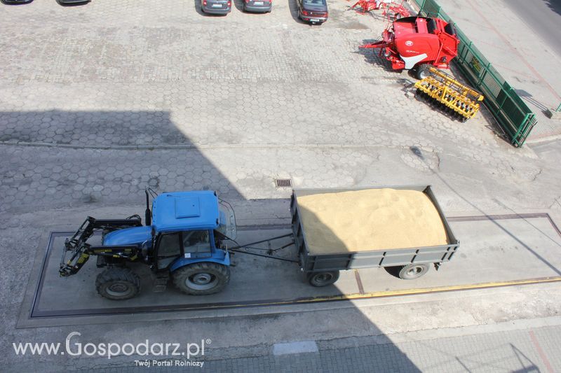 Forum Grup Producentów Rolnych w  Witaszycach