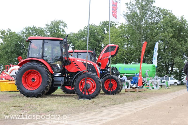 Zetor na Regionalnej Wystawie Zwierząt Hodowlanych i Dni z Doradztwem w Szepietowie 2017
