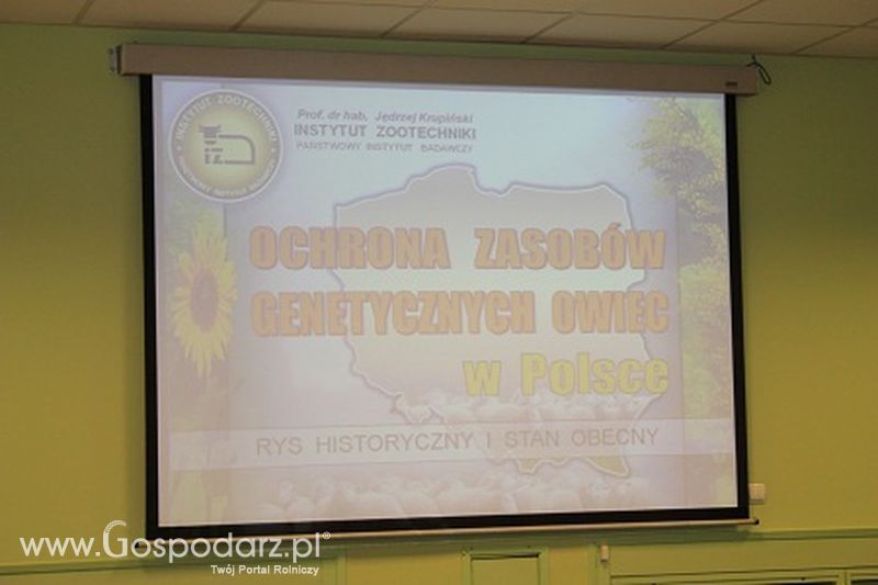 Ochrona zasobów genetycznych owiec w Polsce Konferencja Izoo