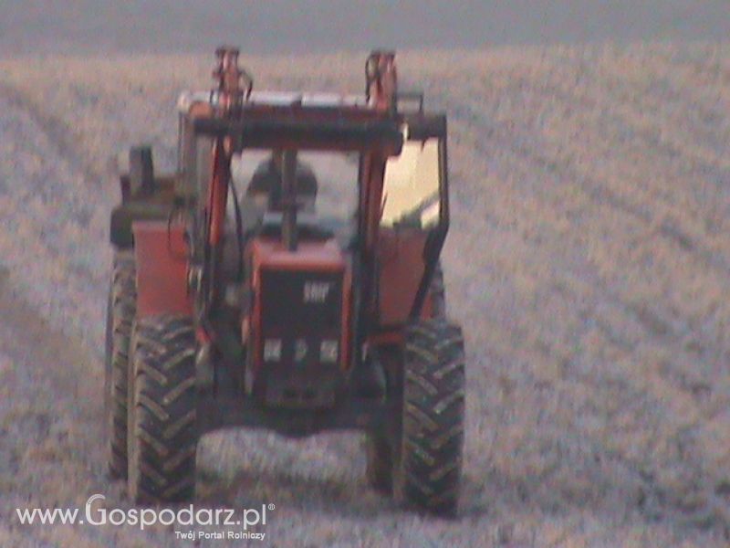 Nawóz 2013 