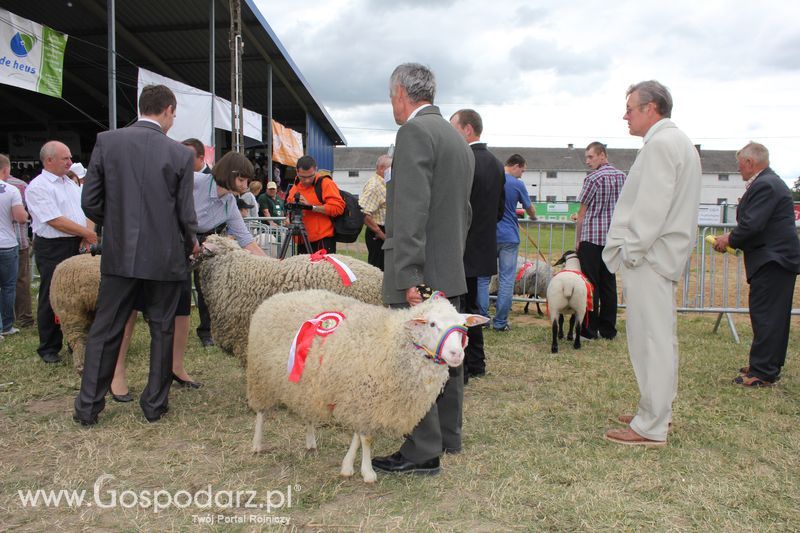 Wręczenie nagród na XVIII Regionalnej Wystawie Zwierząt Hodowlanych w Szepietowie