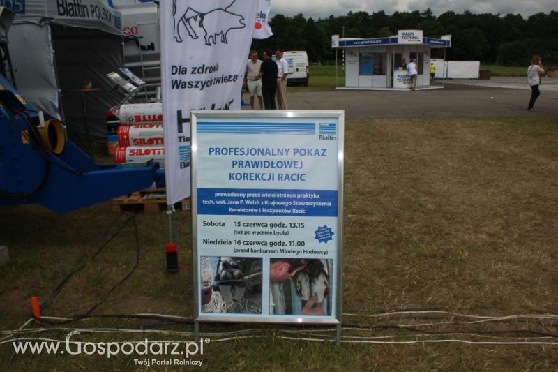 Blattin na Opolagrze 2013