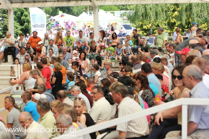 Zielone AGRO SHOW – POLSKIE ZBOŻA 2014 w Sielinku - niedziela