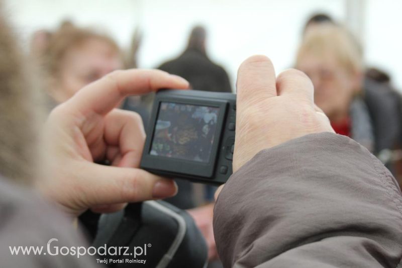 Stoły KGW - XVI Spotkania Tradycji Wielkanocnych Ziemi Kłodzkiej