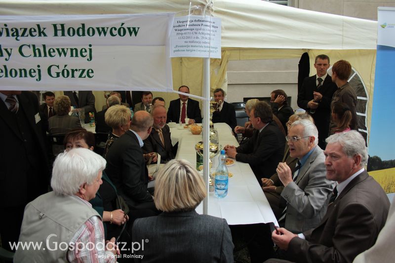  XX Targi Rolnicze Lubniewice
