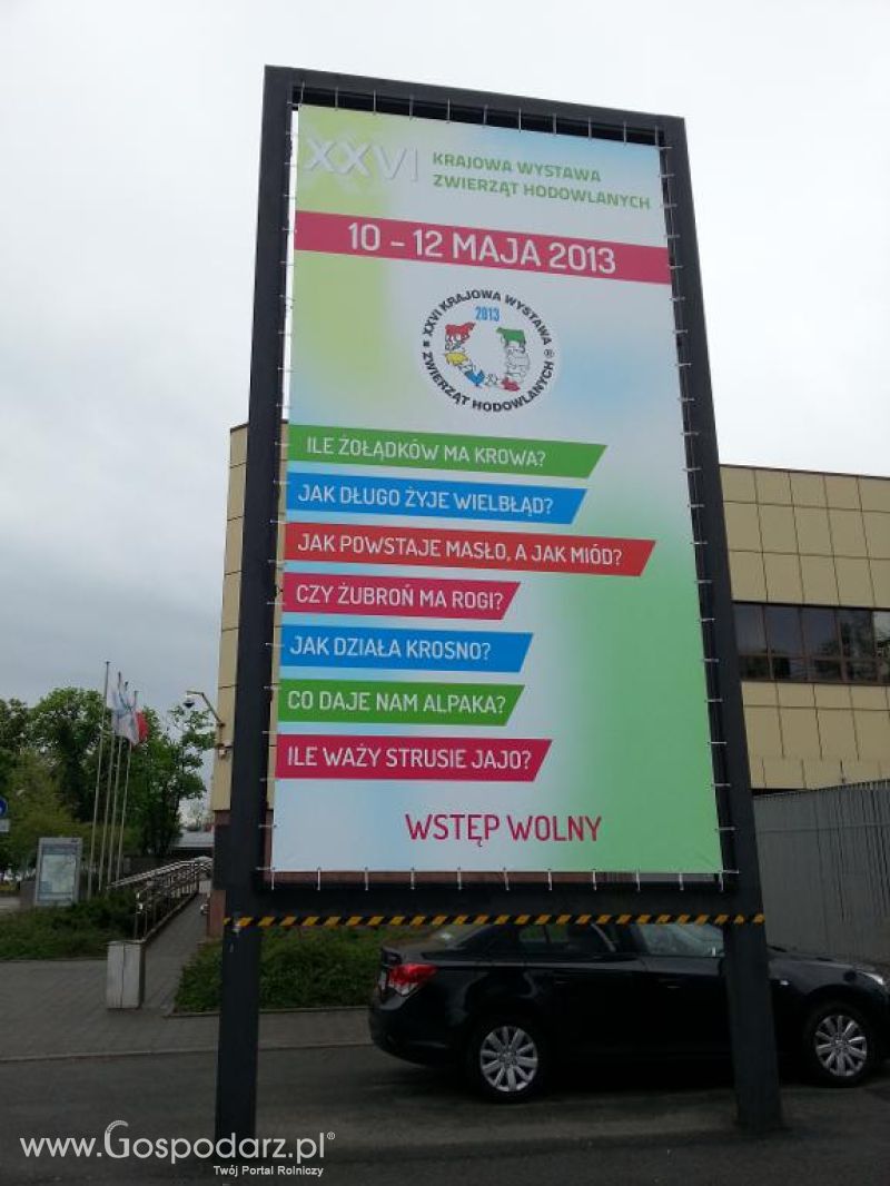 XXVI Krajowa Wystawa Zwierząt Hodowlanych - sobota i niedziela