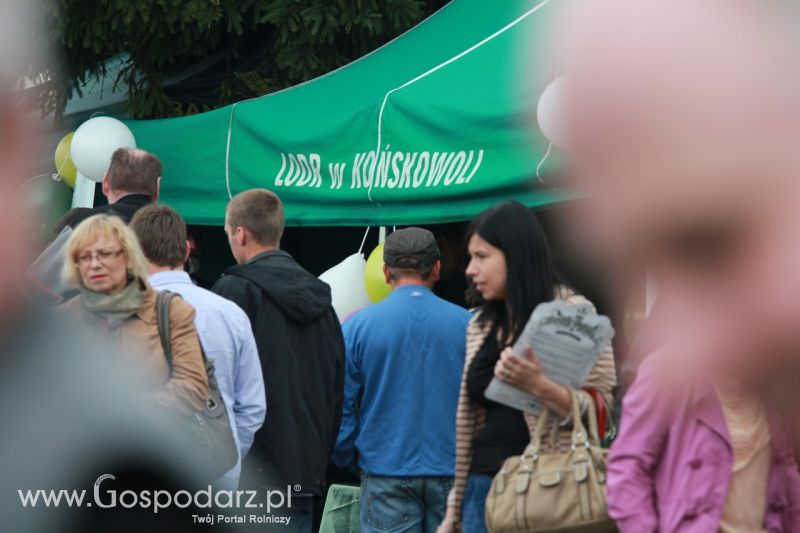 Festiwal Wieprzowiny w Bełżycach - niedziela