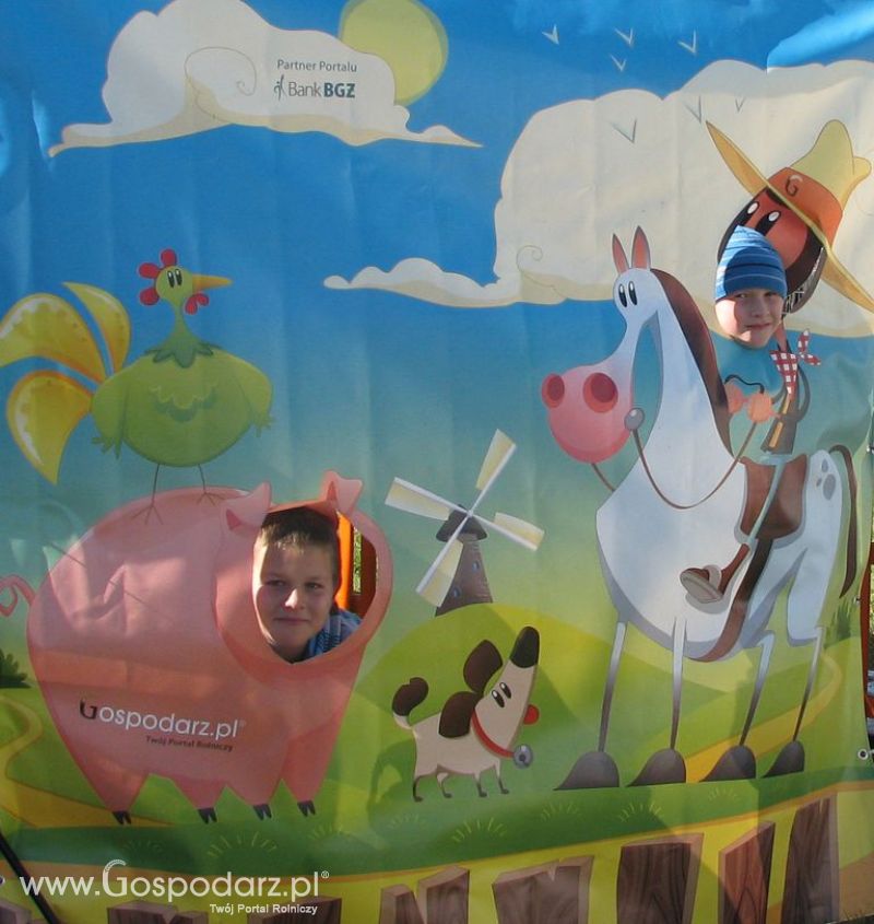 Zdjęcia ze świnką na Agro Show 2012 niedziela