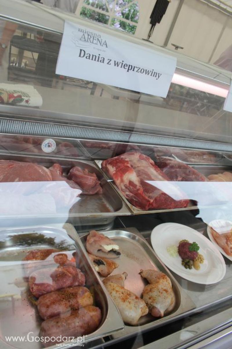 Mięsna Arena 2013 w Poznaniu