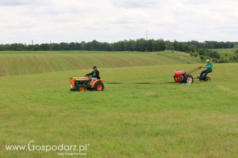 AGRO-TECH Minikowo 2017 (niedziela)