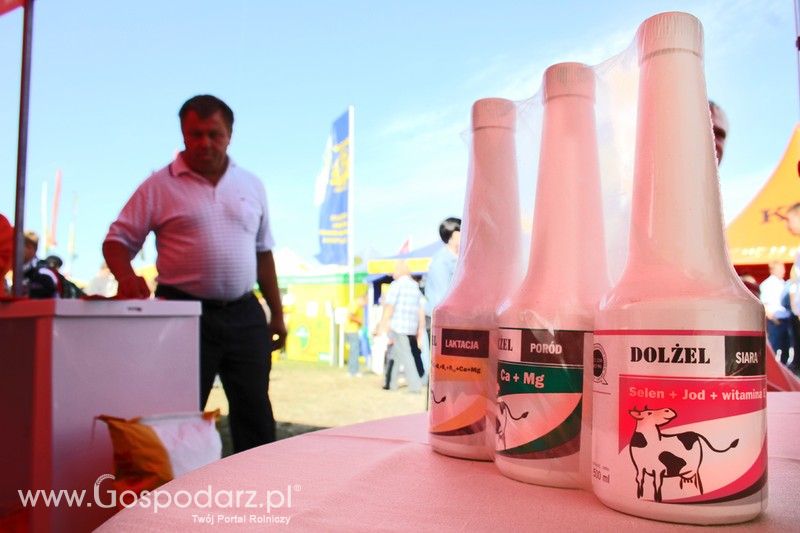 Dolfos na Agro Show w Bednarach