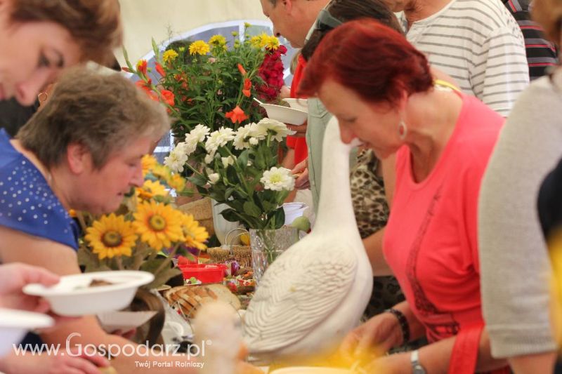 XI Święto Gęsi w Biskupcu