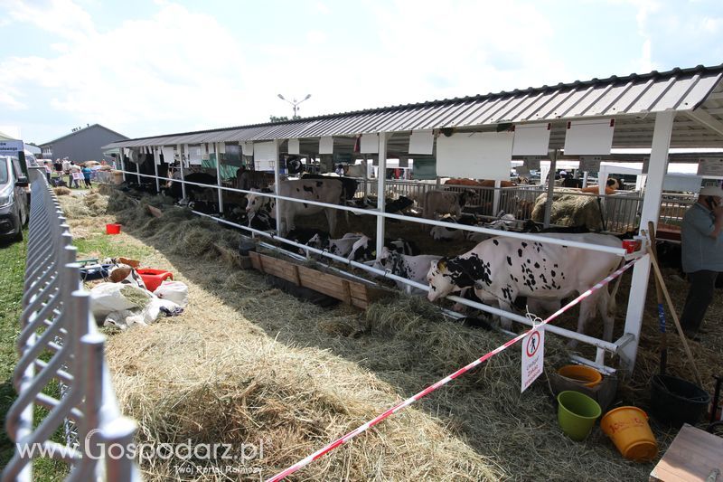 AgroTech Minikowo 2016