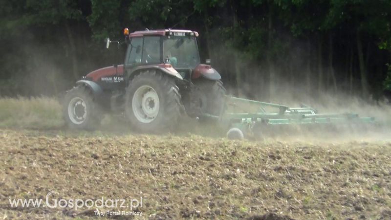 Talerzowane 2013 