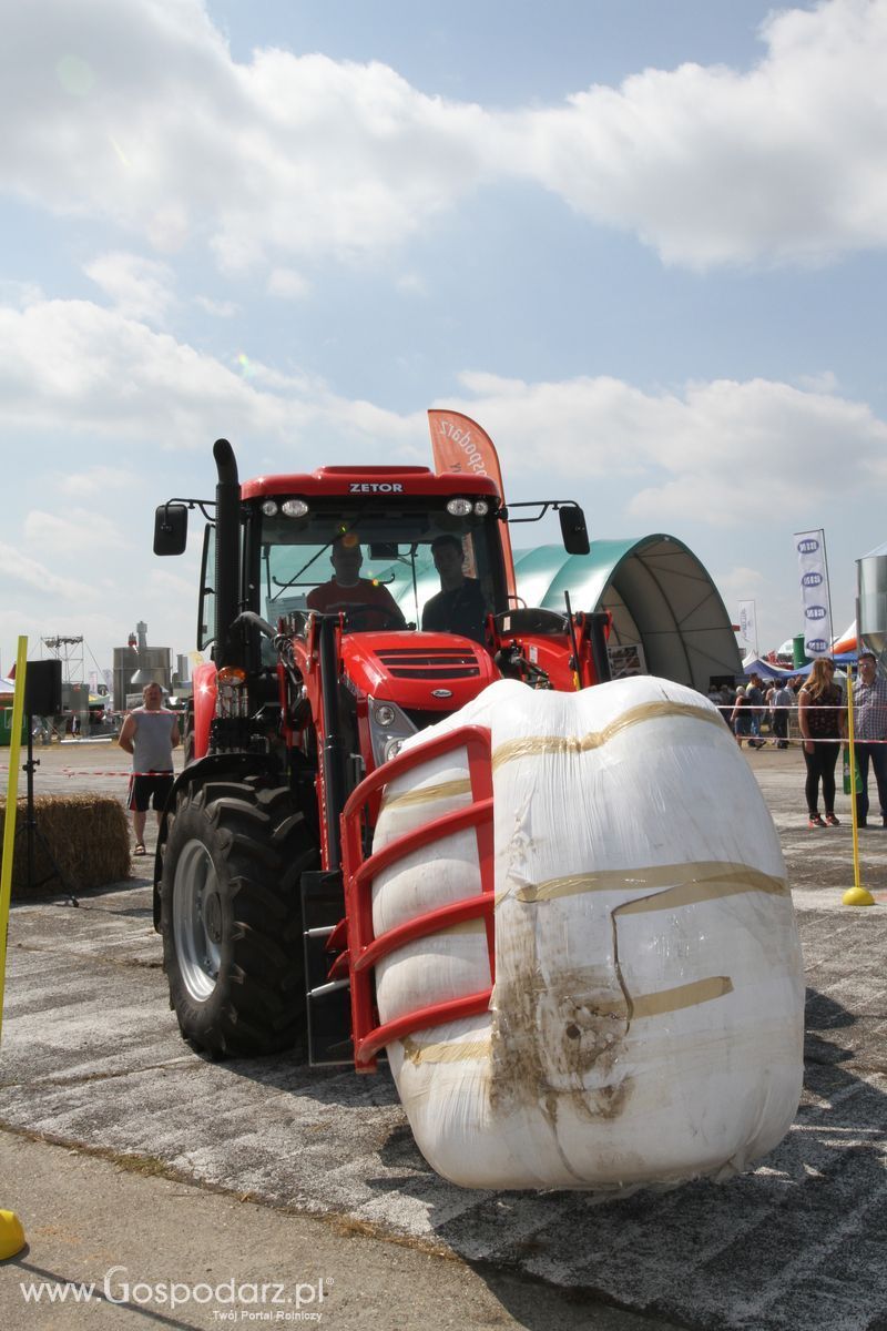 Precyzyjny Gospodarz na OPOLAGRZE 2015 - niedziela