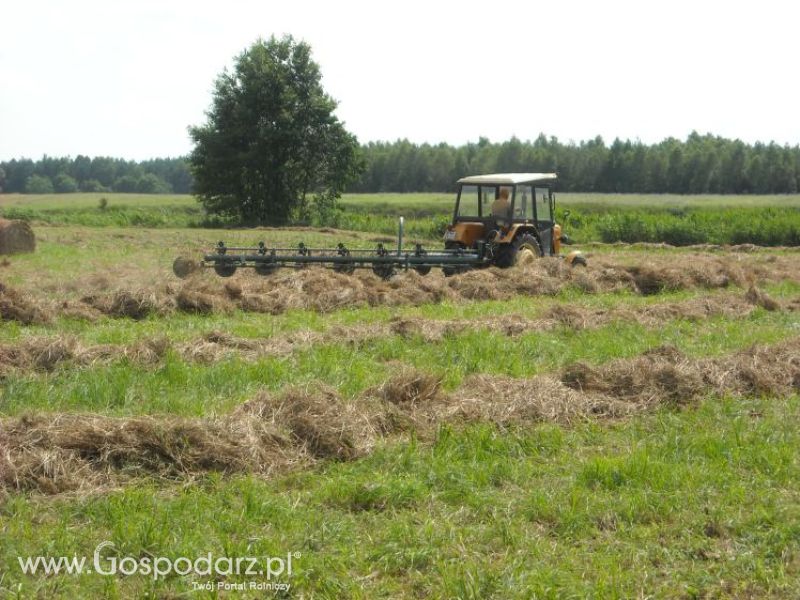 zbieranie siana 2012 ursusem c330m i 1014 de luxe