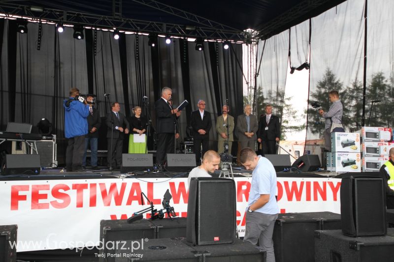 Festiwal Wieprzowiny w Bełżycach - niedziela