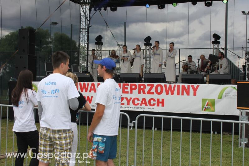 Festiwal Wieprzowiny w Bełżycach