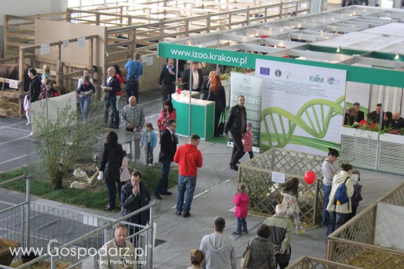 XXVI Krajowa Wystawa Zwierząt Hodowlanych - sobota i niedziela