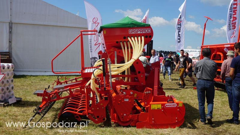 Maschio Gaspardo na Opolagrze 2017